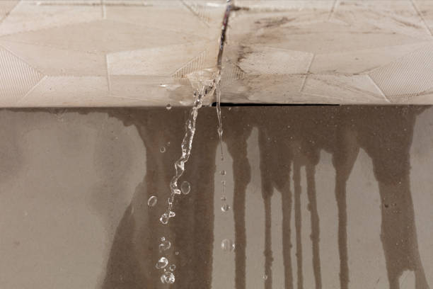 Professional Structural Drying technician working in Claude, TX